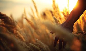 Agribusiness