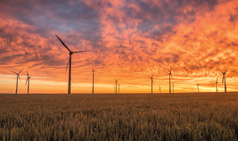 Green Energy and Sustainability