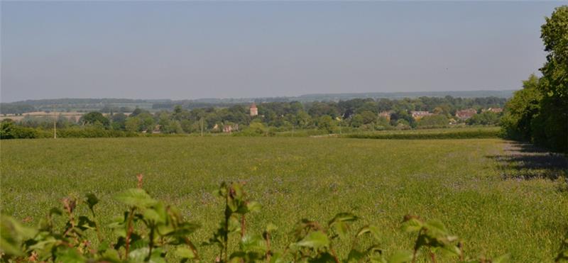 turvey bedfordshire1